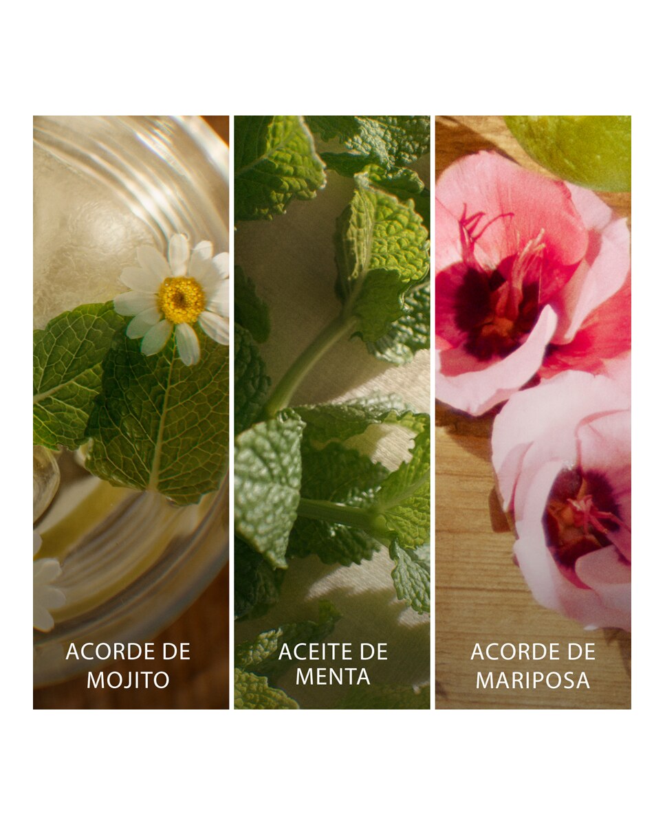 Thumbnail 2 de Escada Brisa Cubana perfume 100 ml