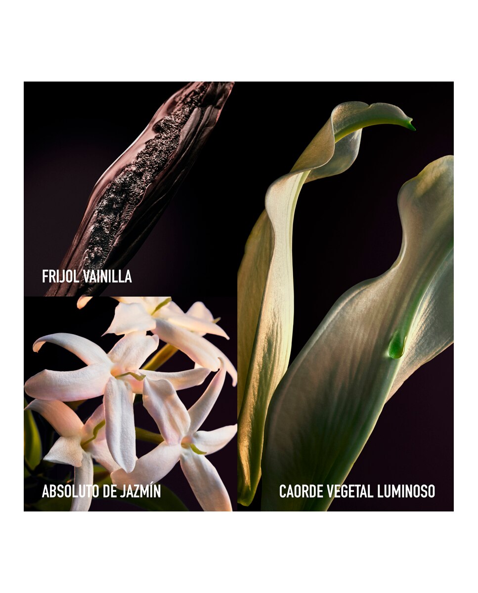 Thumbnail 3 de Rabanne Olympéa Parfum perfume femenino 50 ml