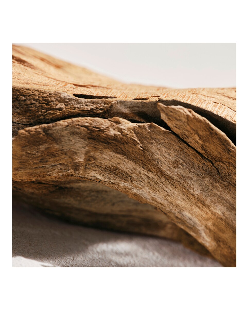 L'Eau de Parfum Intense Chloé 7