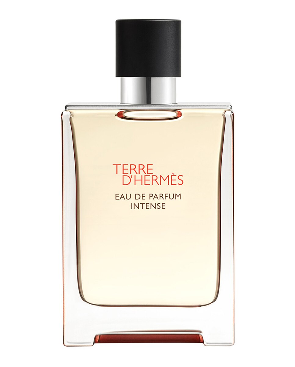 Imagen 0 de Eau de Parfum Intense Terre d'Hermès Hermès