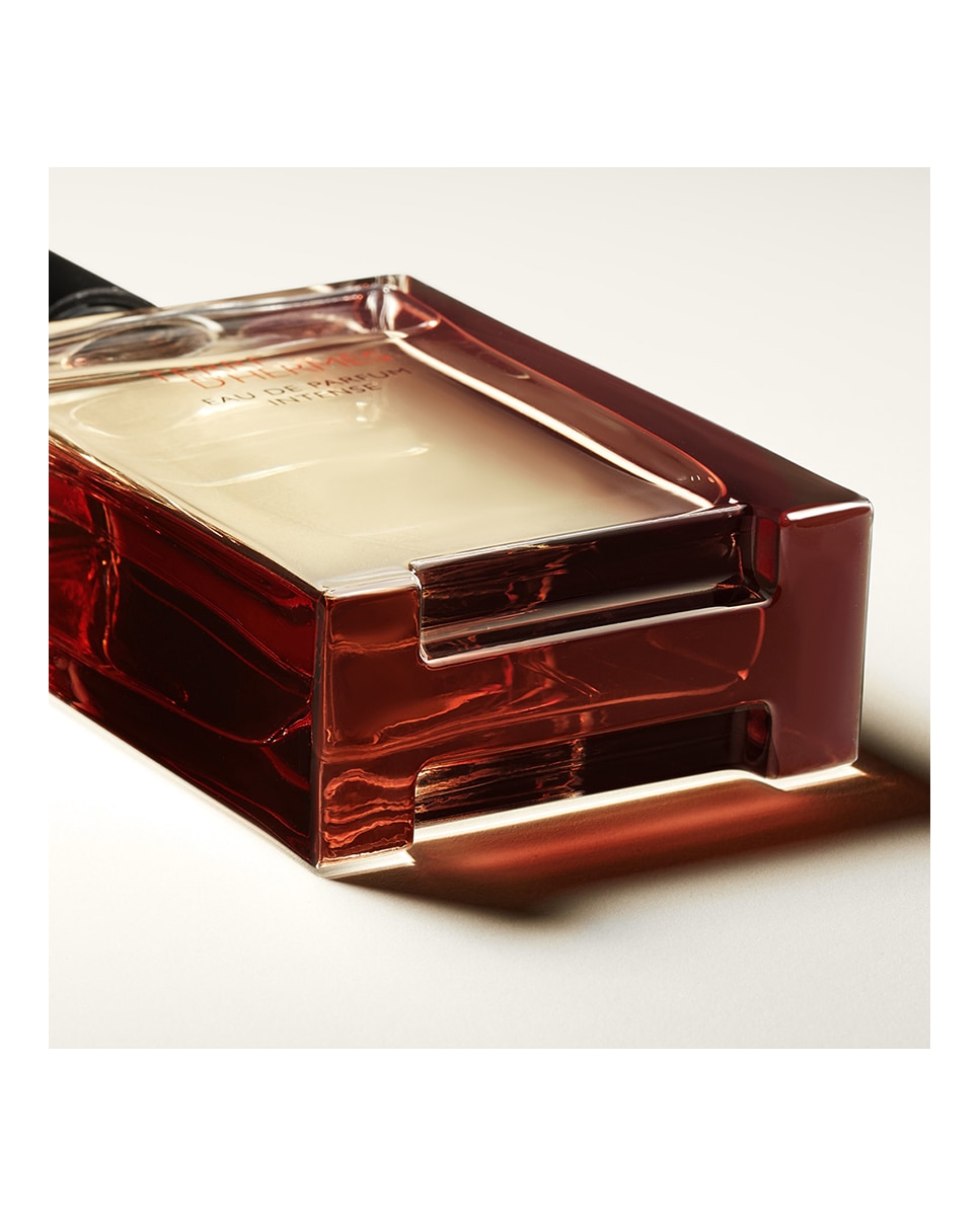 Eau de Parfum Intense Terre d'Hermès Hermès - 50 ml 4
