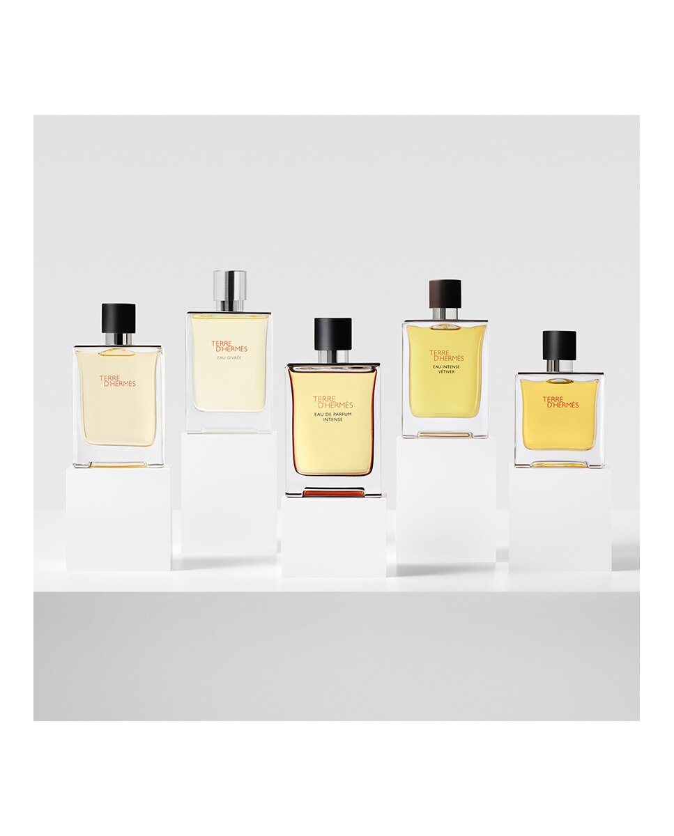 Eau de Parfum Intense Terre d'Hermès Hermès - 50 ml 6