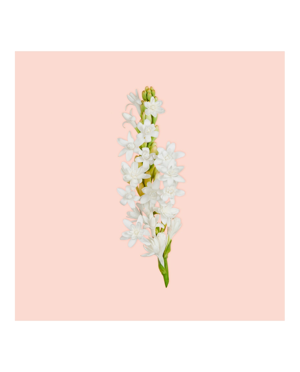 Thumbnail 4 de Gucci Bloom perfume 50 ml Eau de Parfum