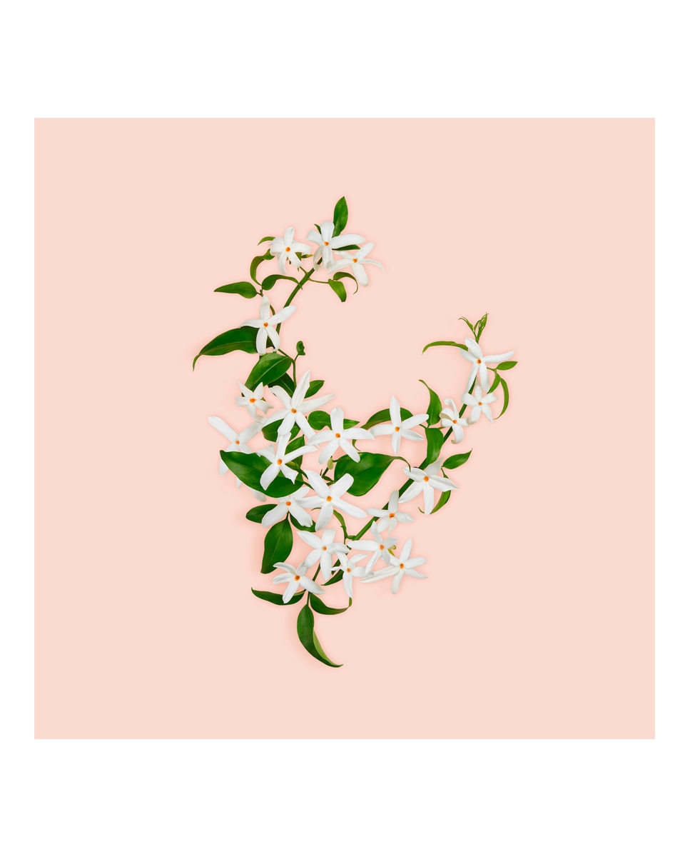 Thumbnail 5 de Gucci Bloom perfume 50 ml Eau de Parfum