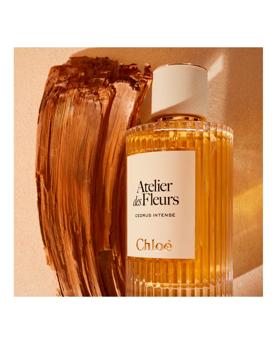 Eau de Parfum Chloé Atelier des Fleurs Cedrus Intense Chloé 50 ml
