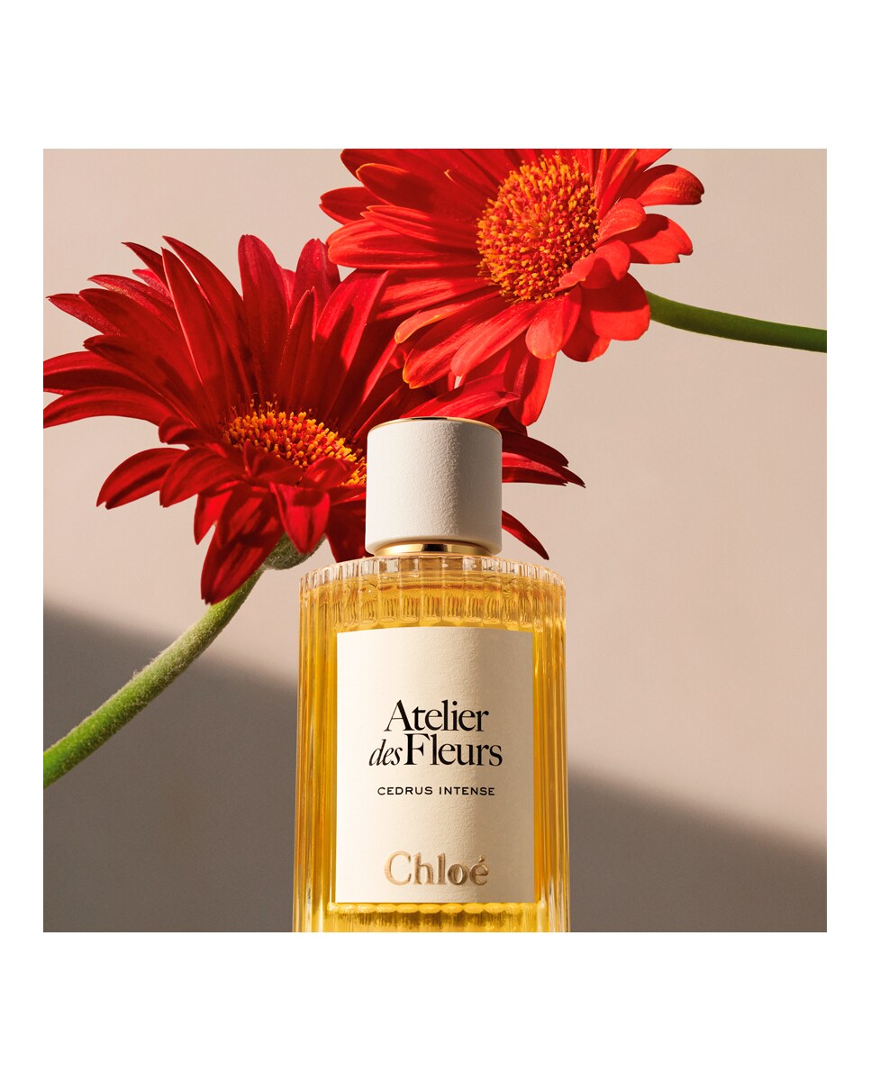 Eau de Parfum Chloé Atelier des Fleurs Cedrus Intense Chloé 5