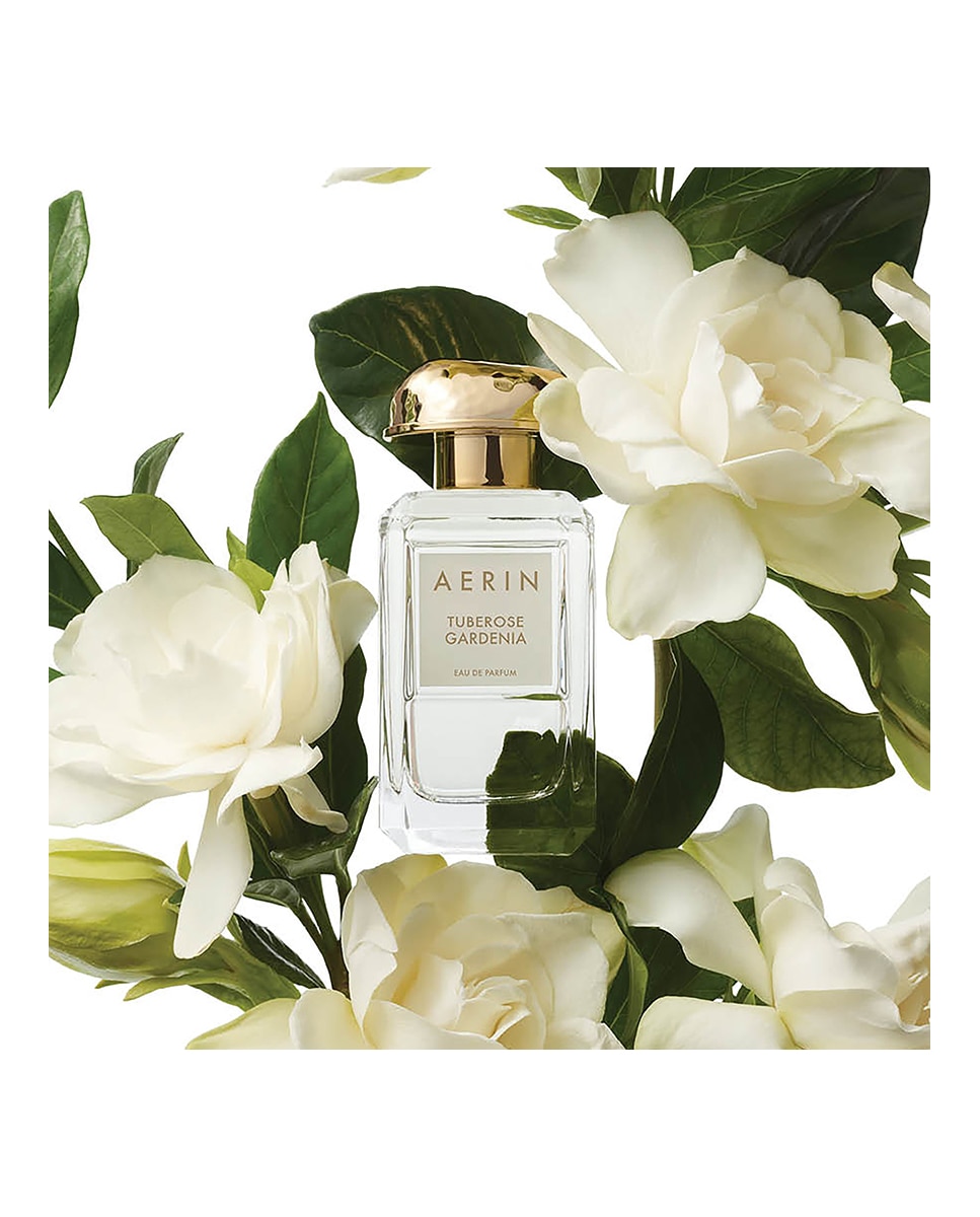 Eau de Parfum AERIN Tuberose Gardenia - 50 ml 3