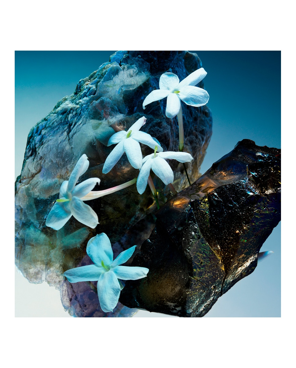 Imagen 3 de Eau de Parfum Le Gemme Amunae Bvlgari - 60 ml