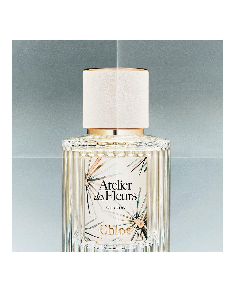 Eau de Parfum Atelier des Fleurs Cedrus 50 Ml Chloé · Chloé · El