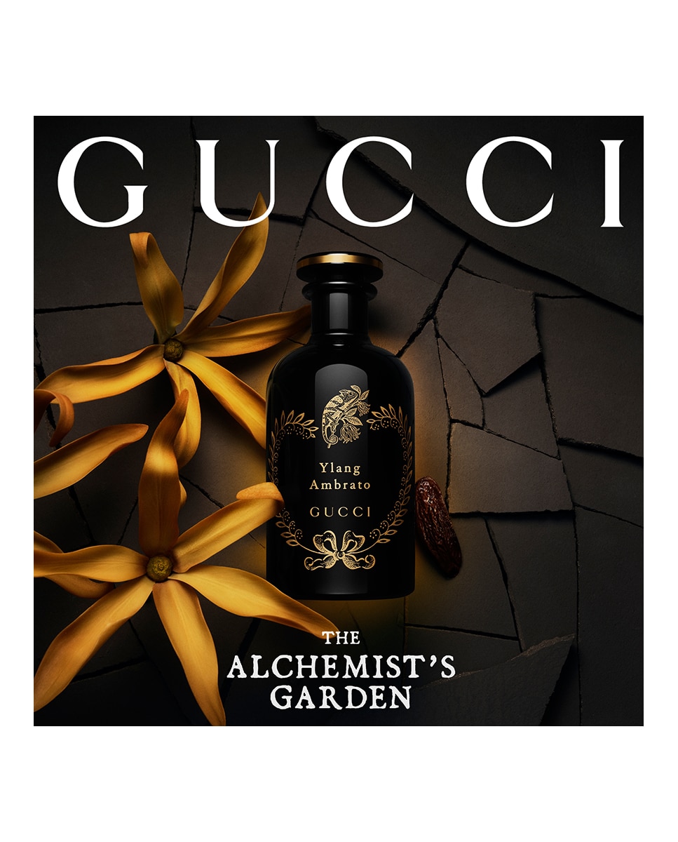 Eau de Parfum The Alchemist's Garden Ylang Ambrato Gucci - 50 ml 7