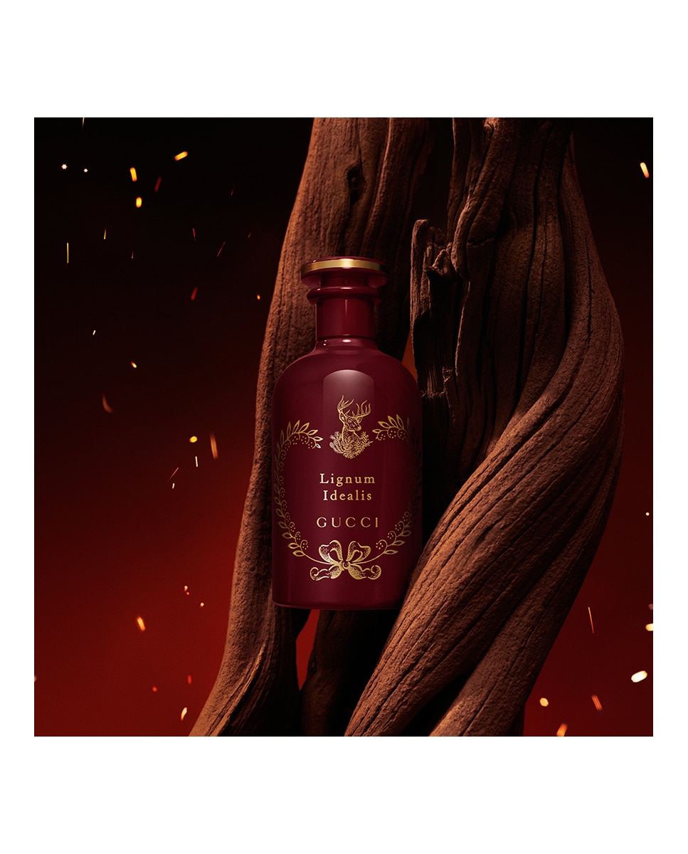 Eau de Parfum The Alchemist's Garden Lignum Idealis Gucci - 100 ml 6
