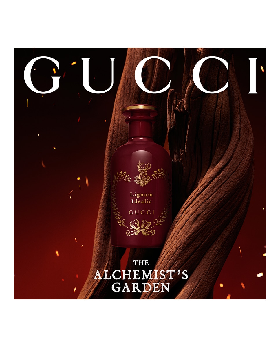 Eau de Parfum The Alchemist's Garden Lignum Idealis Gucci - 100 ml 7