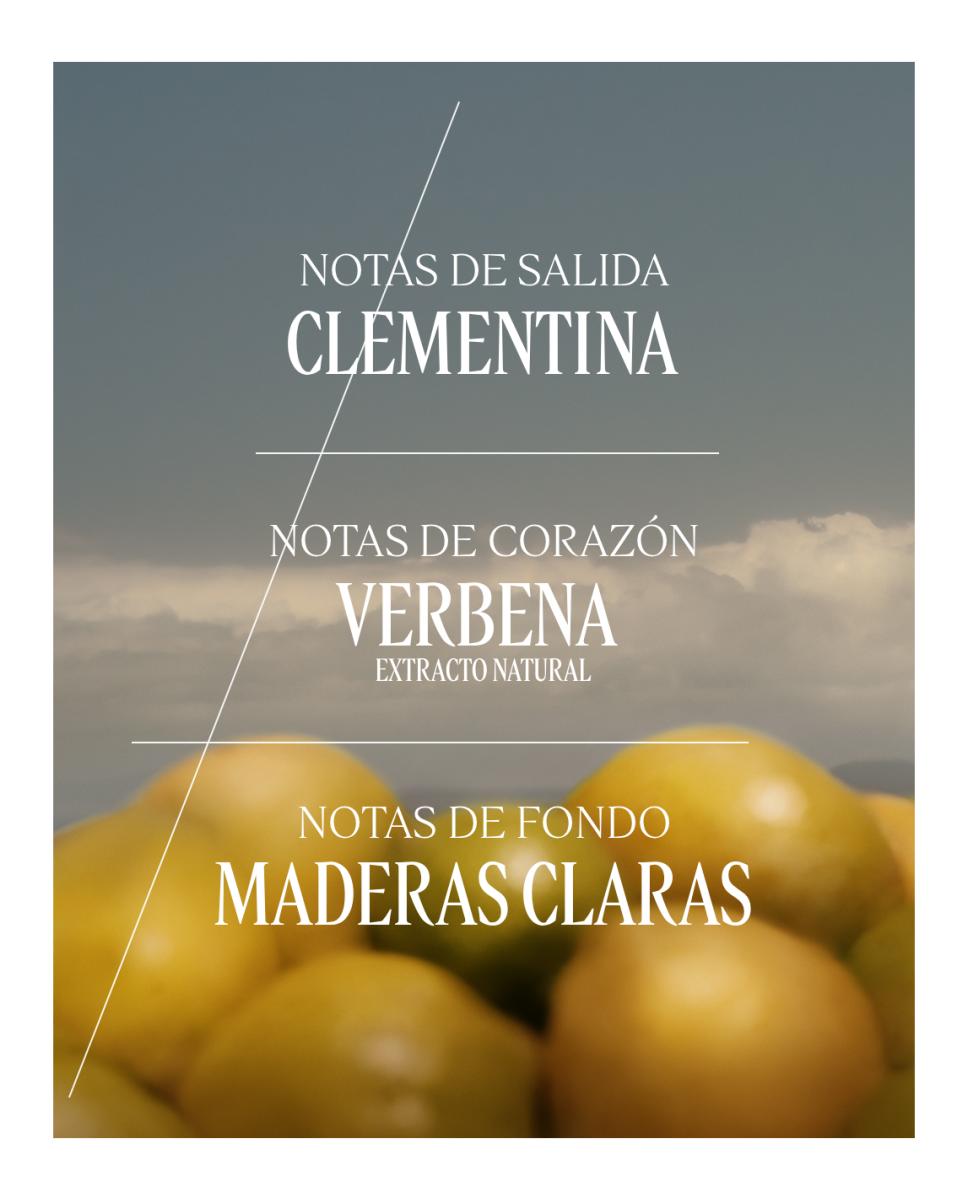 Eau de Toilette Verbena Cítricos L'Occitane en Provence - 75 ml 5