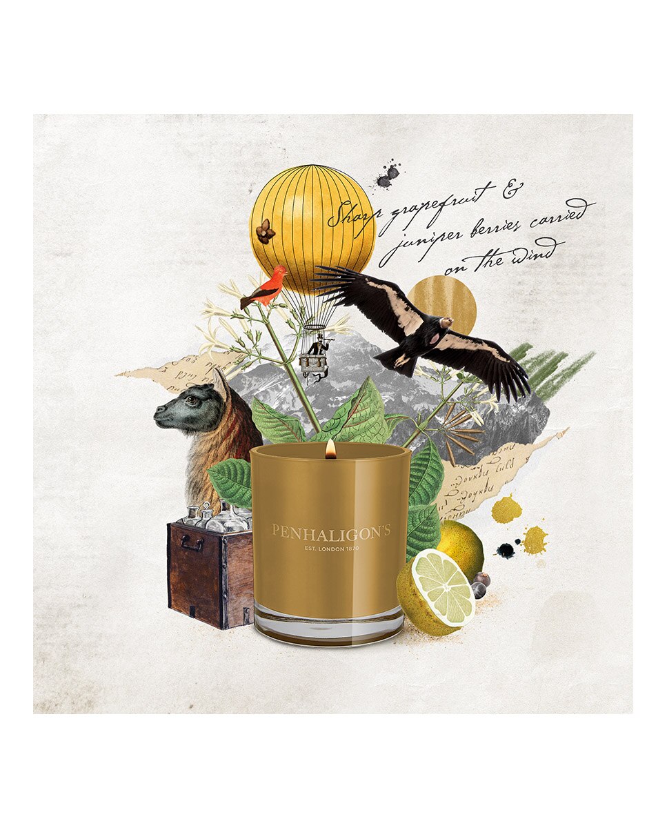 Vela Aromática Calisaya Bark Penhaligon's - 200 g 5
