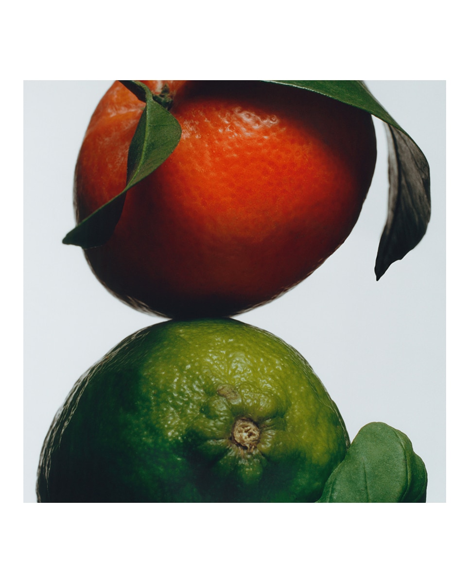 Recarga Difusor Para El Coche Lime Basil & Mandarin Jo Malone London 3