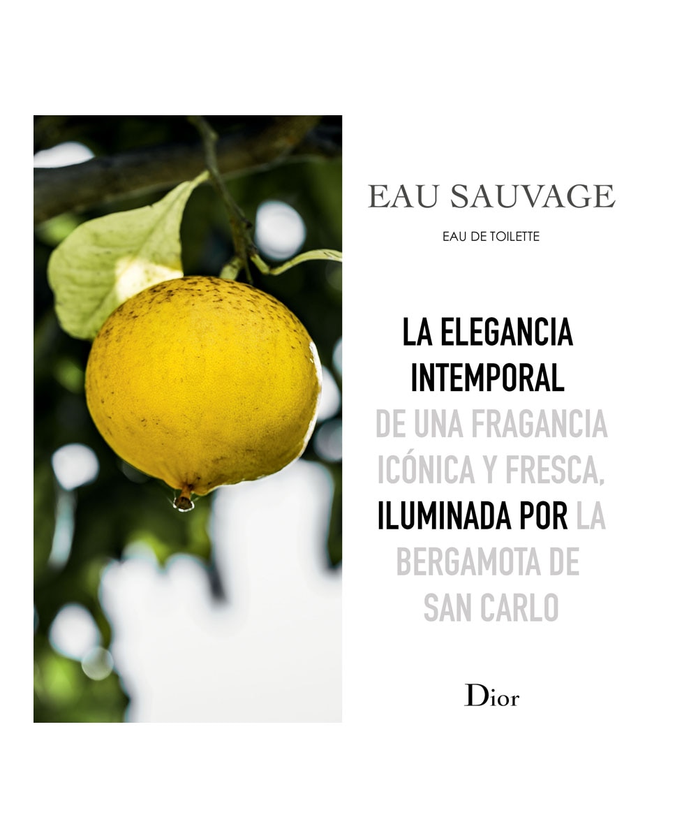 Eau de toilette Eau Sauvage Dior 200 ml · El Corte Inglés