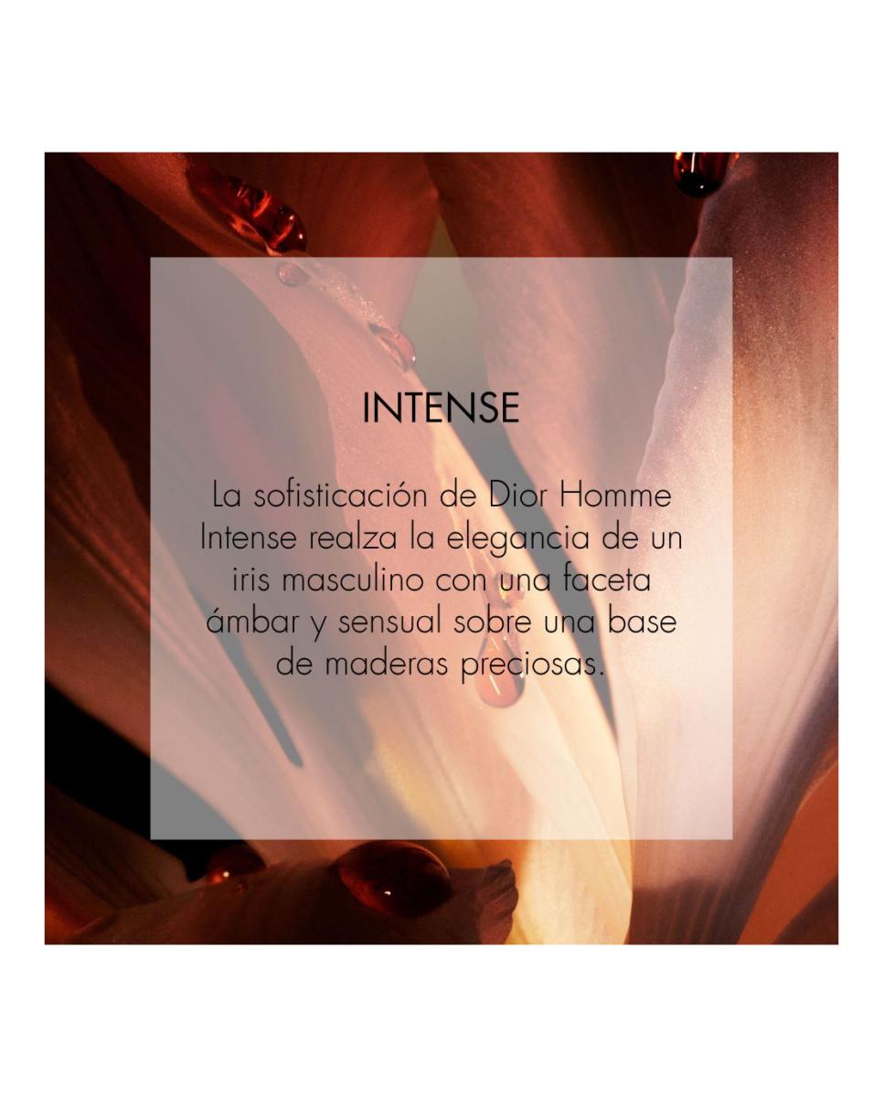 Dior Homme Intense Eau de parfum intense - 50 ml 4