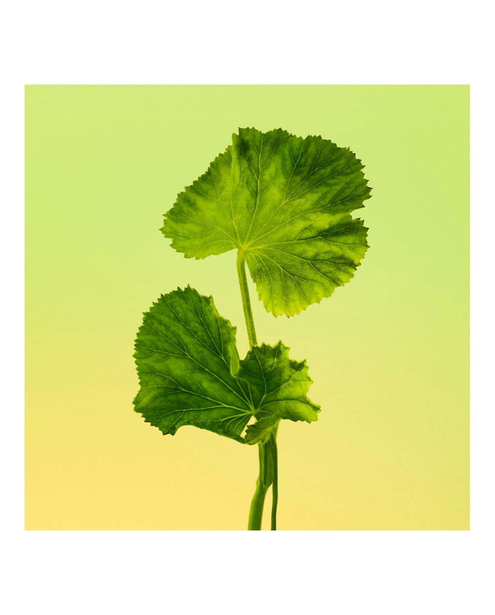 Thumbnail 6 de Calvin Klein Eternity eau de toilette 100 ml perfume