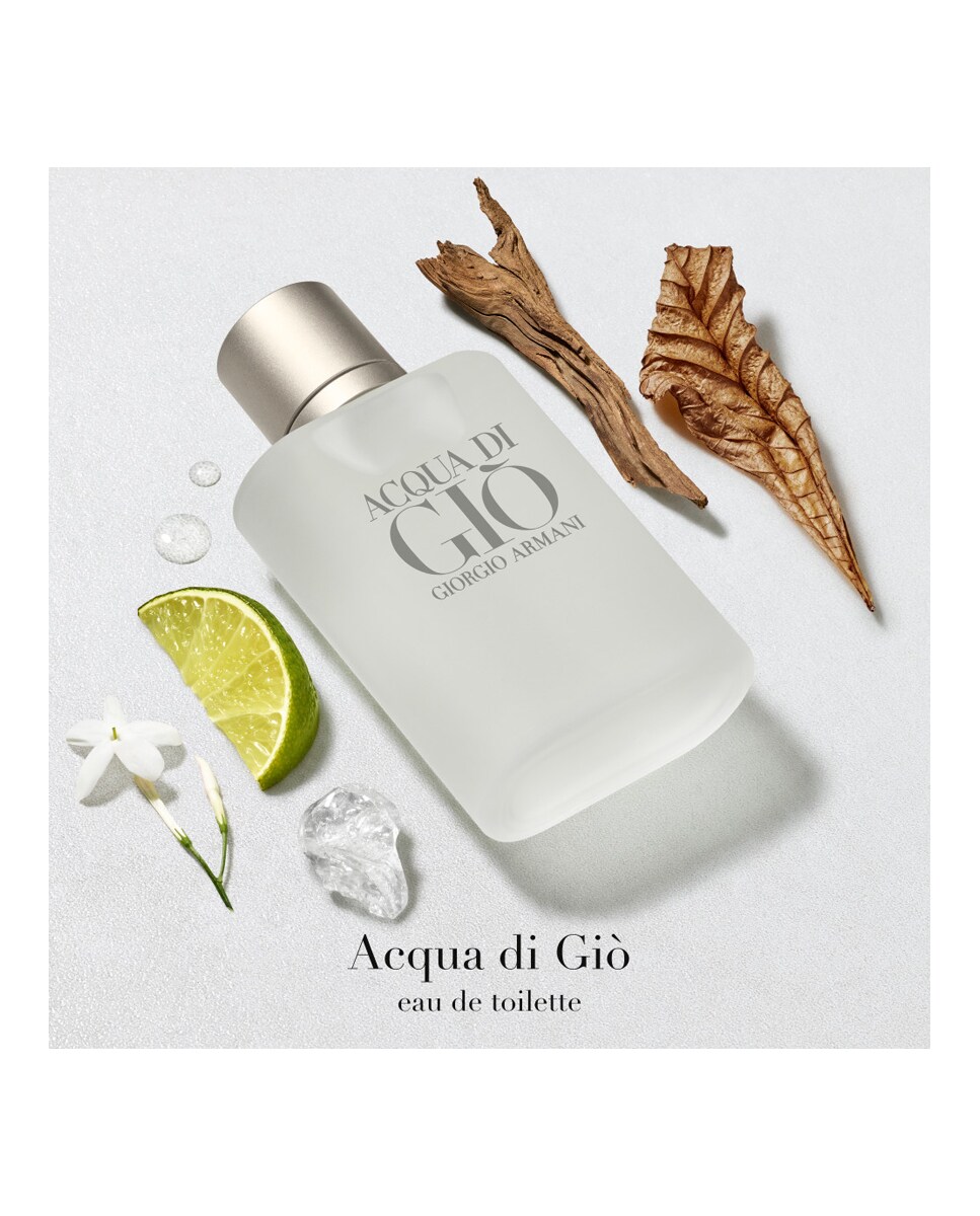 Eau de Toilette Acqua di Giò 100 ml Giorgio Armani 4