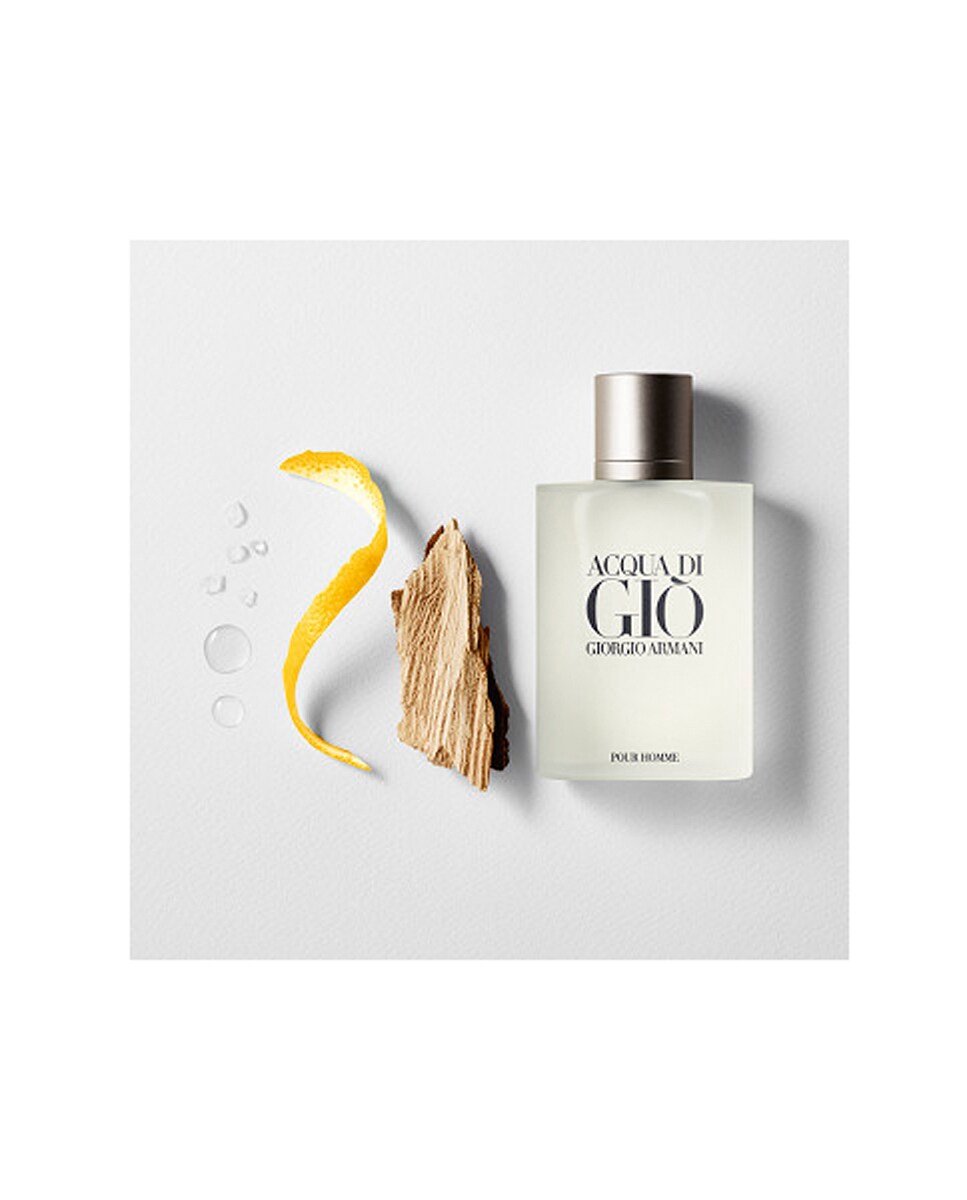 Eau de Toilette Acqua di Giò 100 ml Giorgio Armani 8