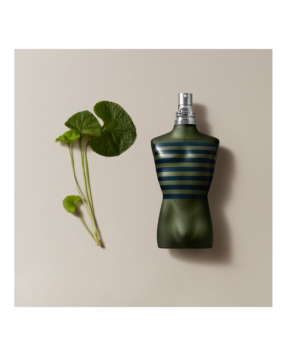 Eau de Toilette Le Male Aviator 125 ml Jean Paul Gaultier - 125 ml 7