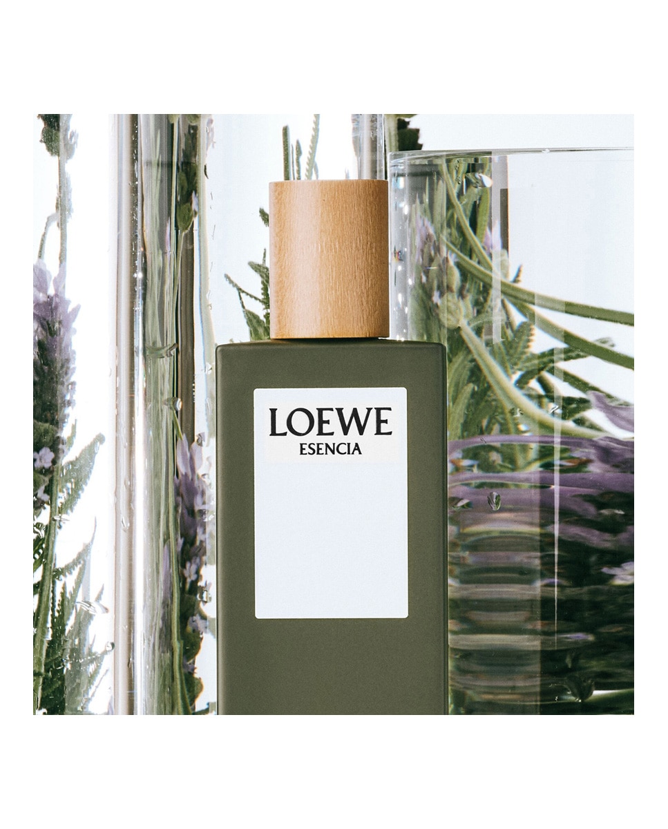 Eau de Toilette Esencia Loewe - 50 ml 5