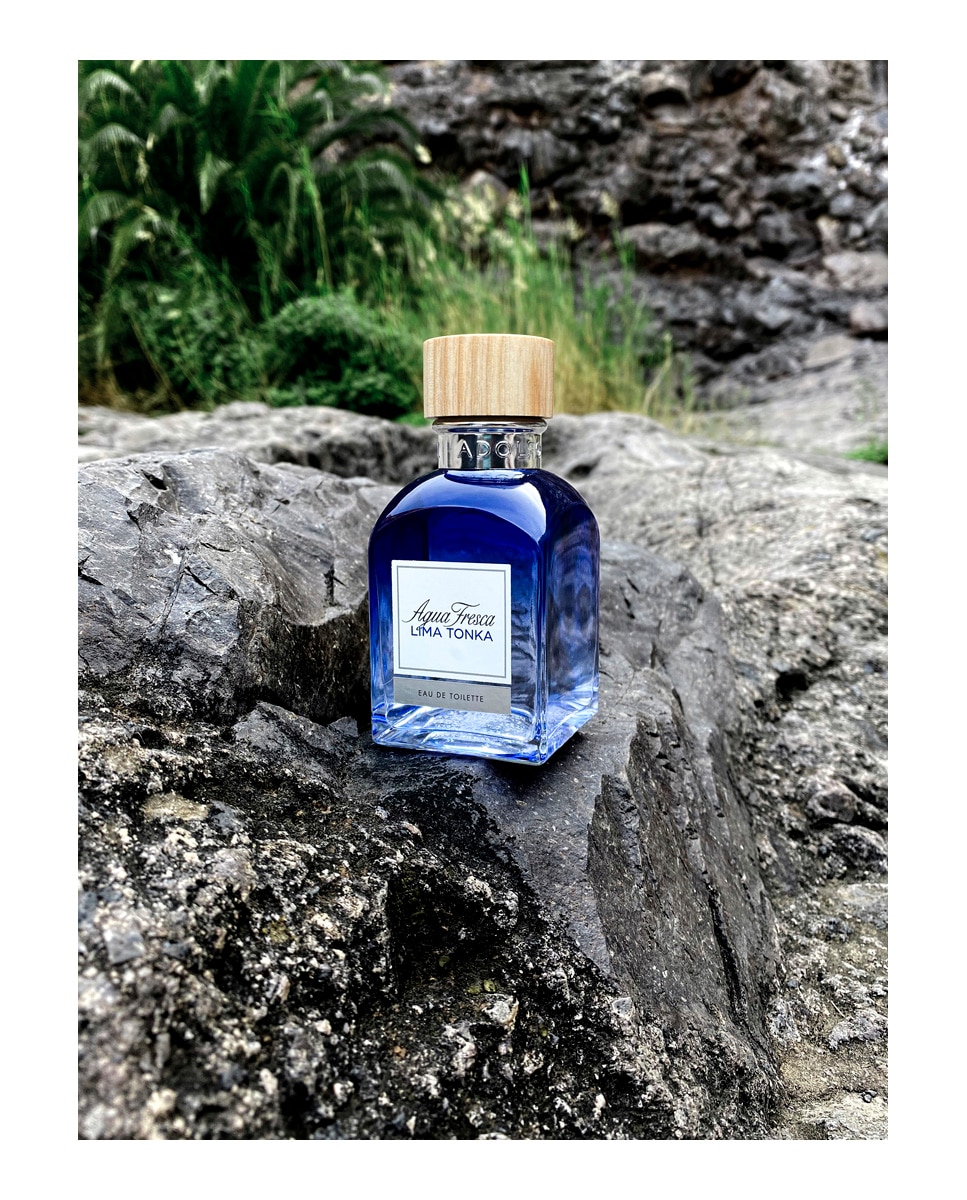 Eau de Toilette Agua Fresca Lima Tonka Adolfo Dominguez - 120 ml 4