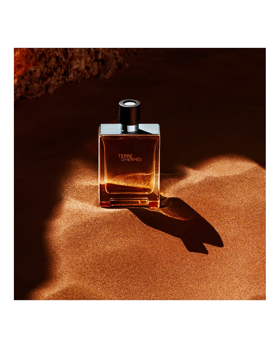 Eau de Toilette Terre d’Hermès Hermès - 50 ml 4