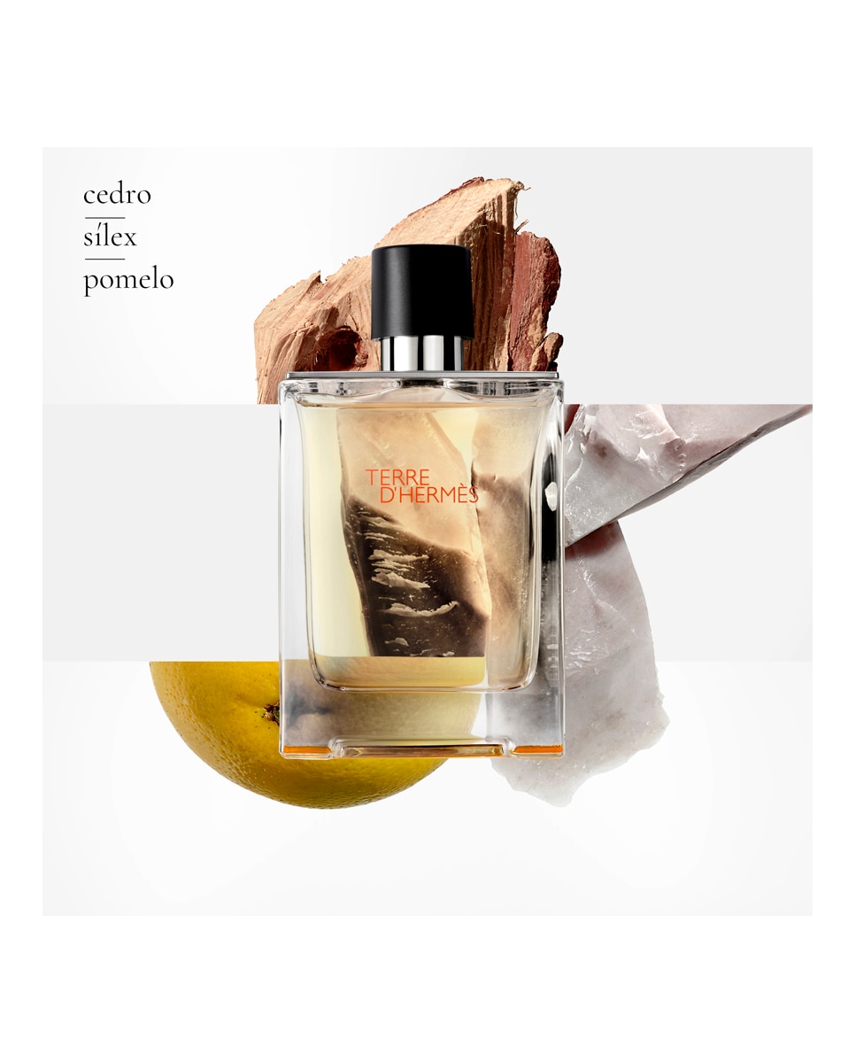 Eau de Toilette Terre d'Hermès Hermès - 100 ml 2