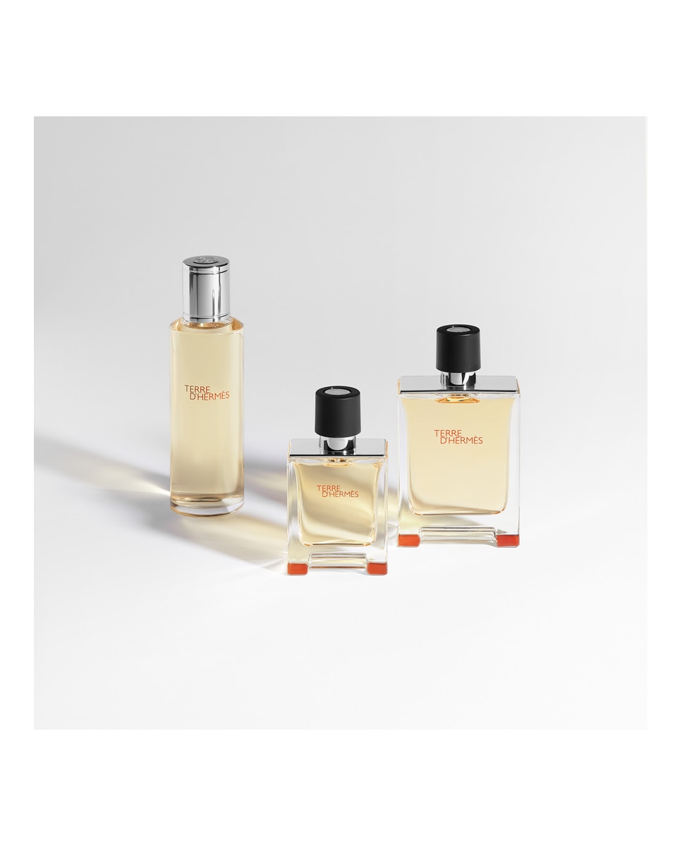 Eau de Toilette Terre d'Hermès Hermès - 100 ml 4