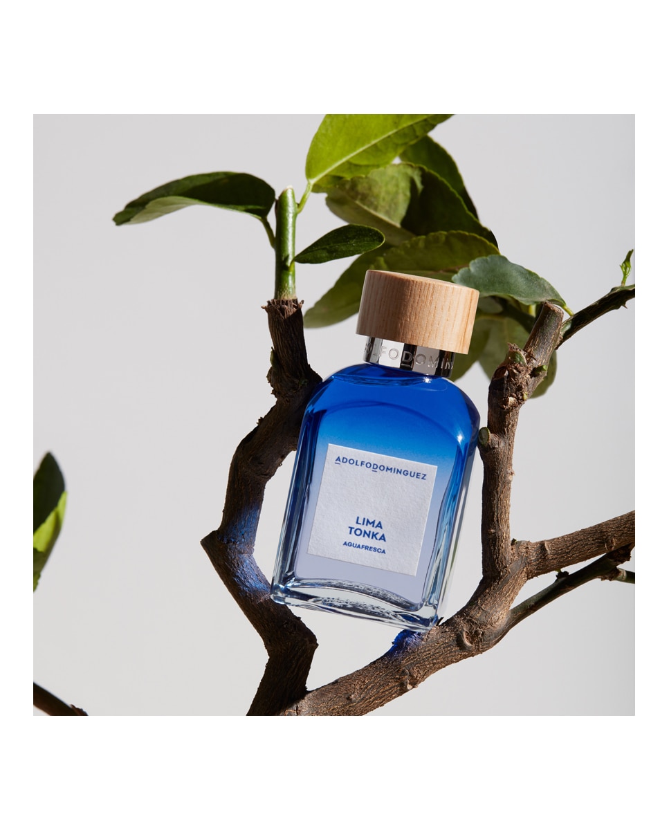 Imagen 6 de Eau de Toilette Lima Tonka Adolfo Dominguez - 120 ml