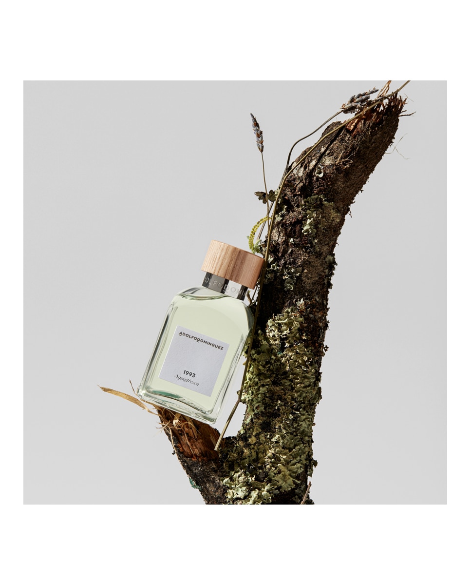 Imagen 6 de Eau de Toilette Agua Fresca Adolfo Dominguez - 60 ml