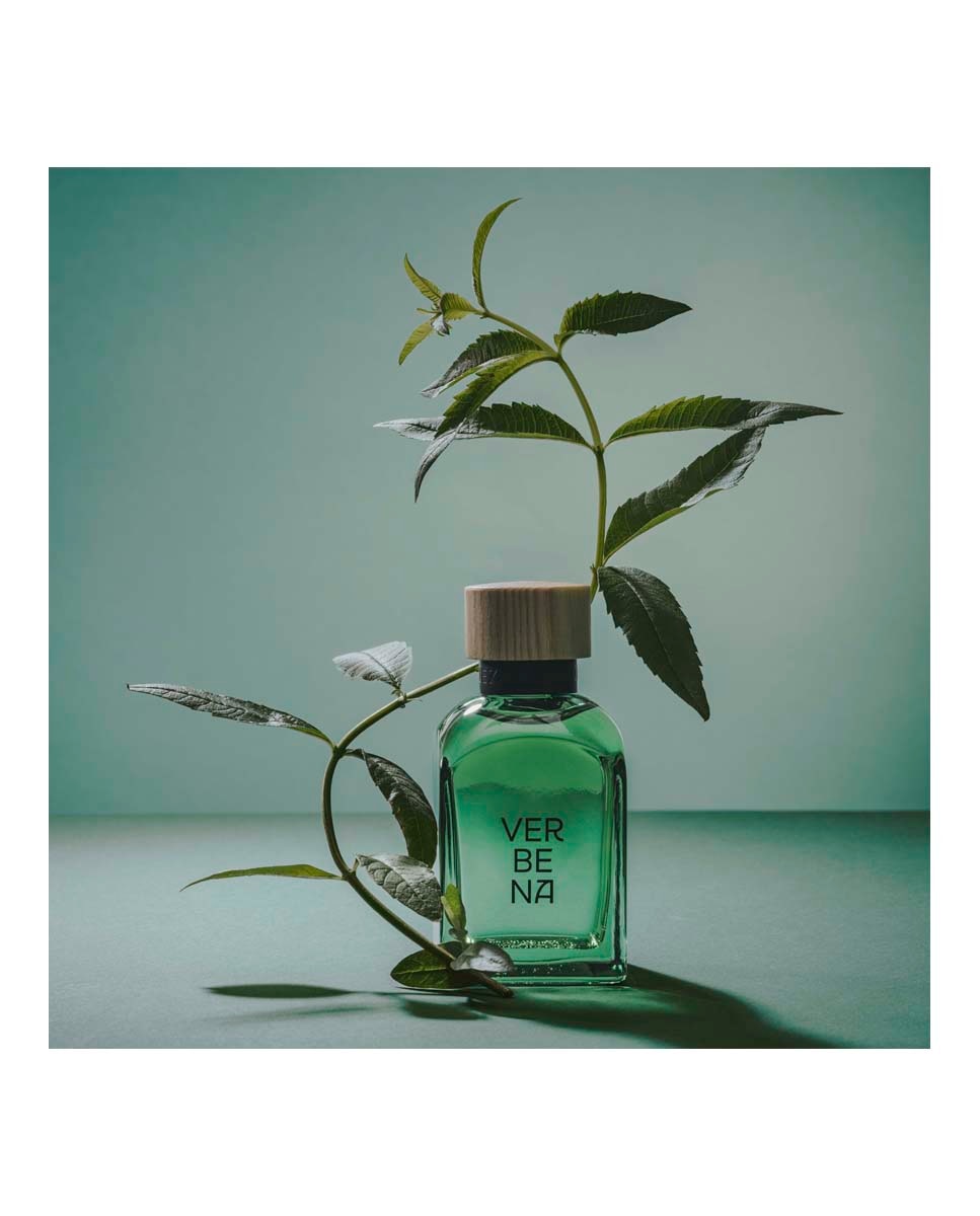 Eau de Toilette Verbena Hombre Adolfo Dominguez - 120 ml 7