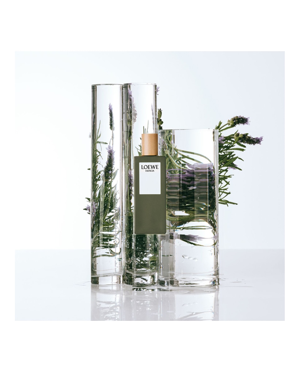 Imagen 4 de Eau de Toilette Esencia 200 ml Loewe - 200 ml