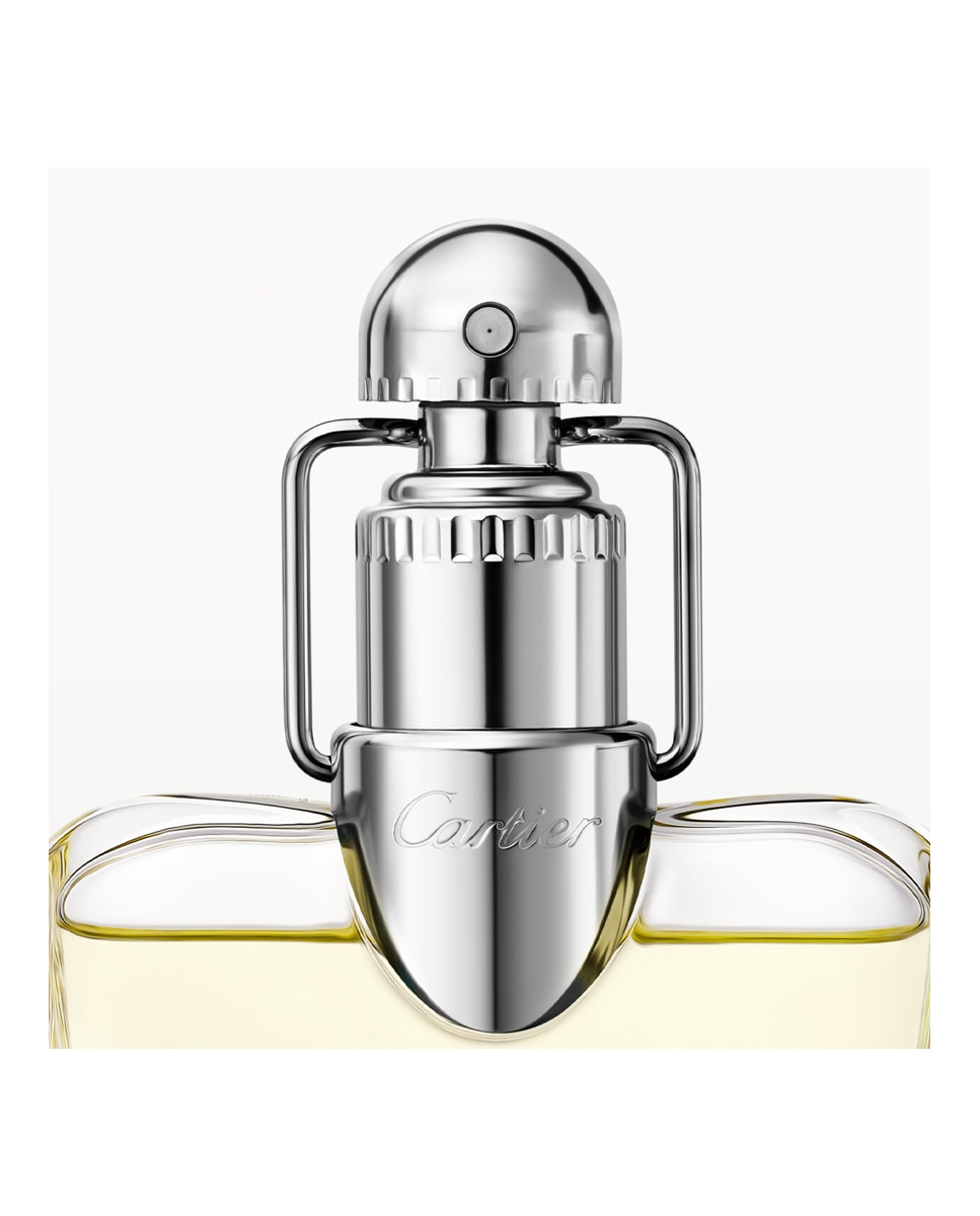 Eau de Toilette masculino Declaration Cartier - 100 ml 3