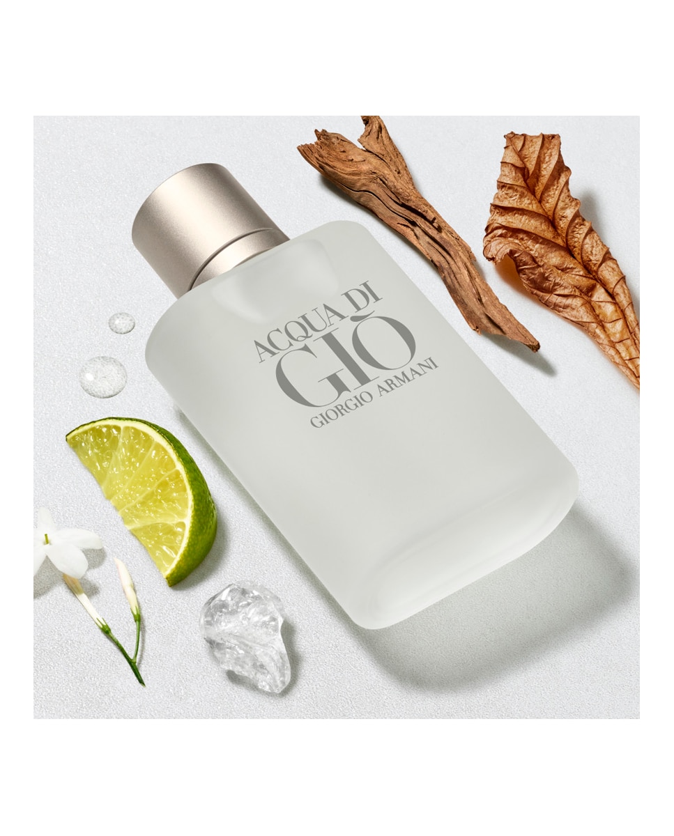 Thumbnail 2 de Giorgio Armani Acqua Di Giò perfume 200 ml