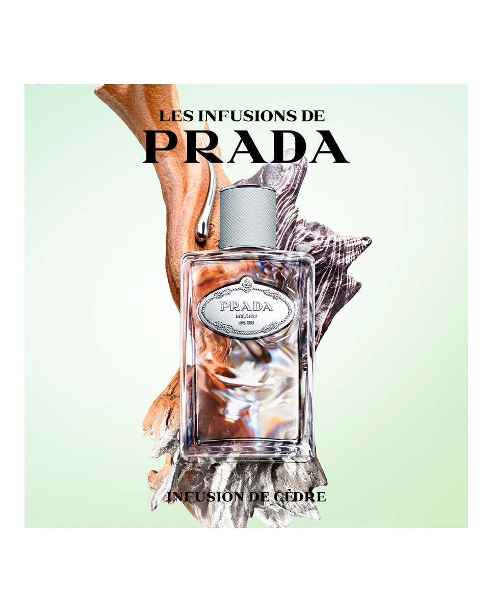 Eau de Parfum Infusion Cèdre 100 ml Prada Beauty - 100 ml 3
