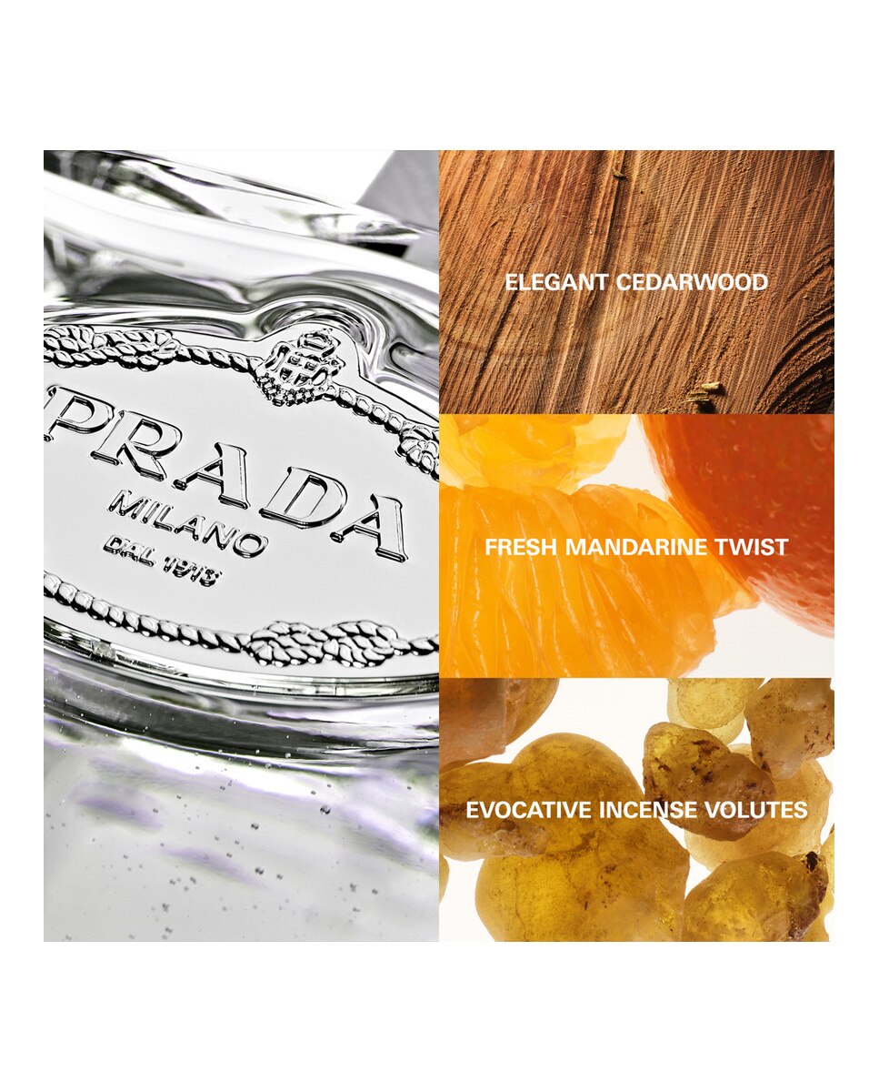 Eau de Parfum Infusion Cèdre 100 ml Prada Beauty - 100 ml 6