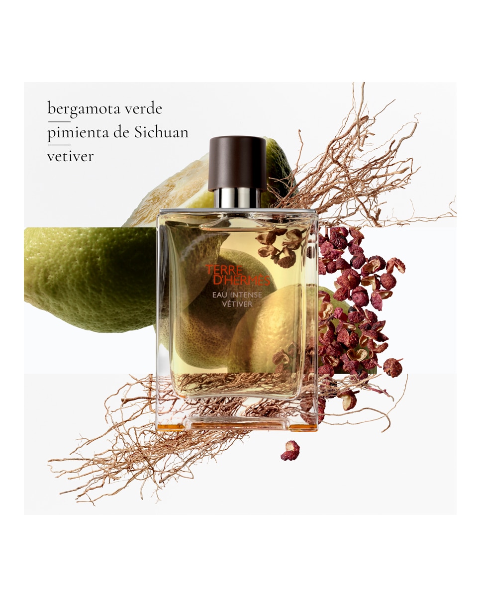 Eau de Parfum Terre d'Hermès Eau Intense Vétiver Hermès - 50 ml 3