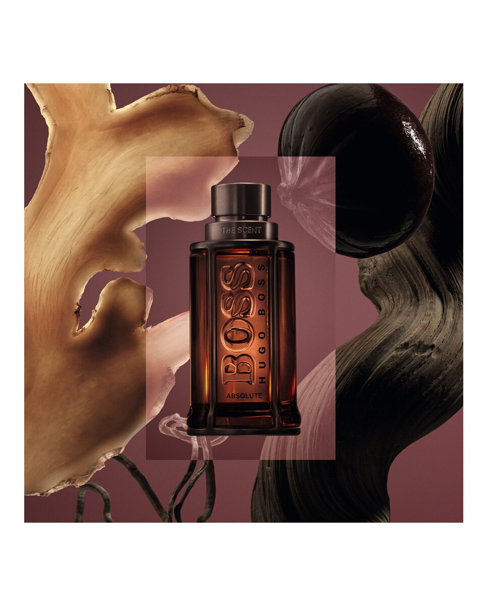 Eau de Parfum Boss The Scent Absolute for Him 100 ml Boss - 100 ml 6