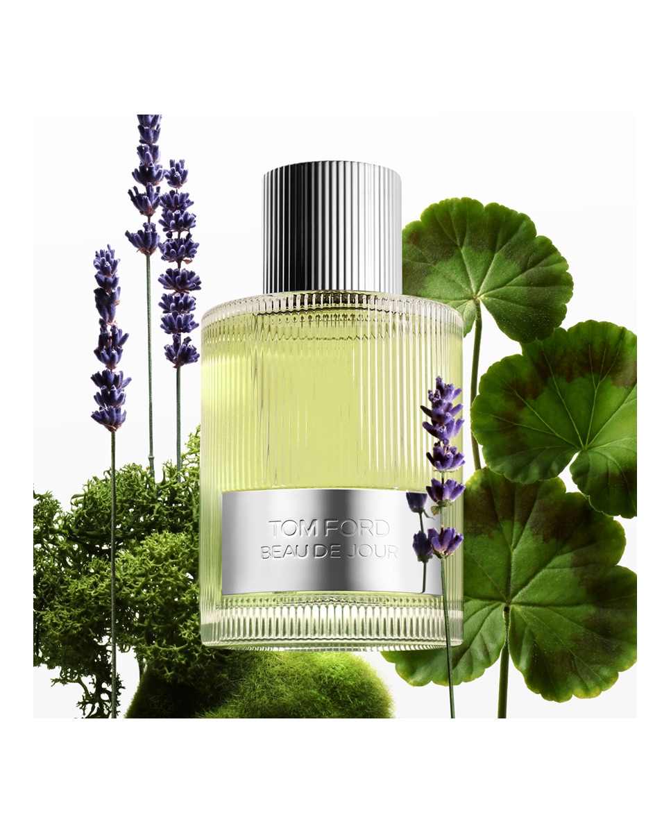 Eau de Parfum Signature Beau De Jour Tom Ford - 50 ml 2