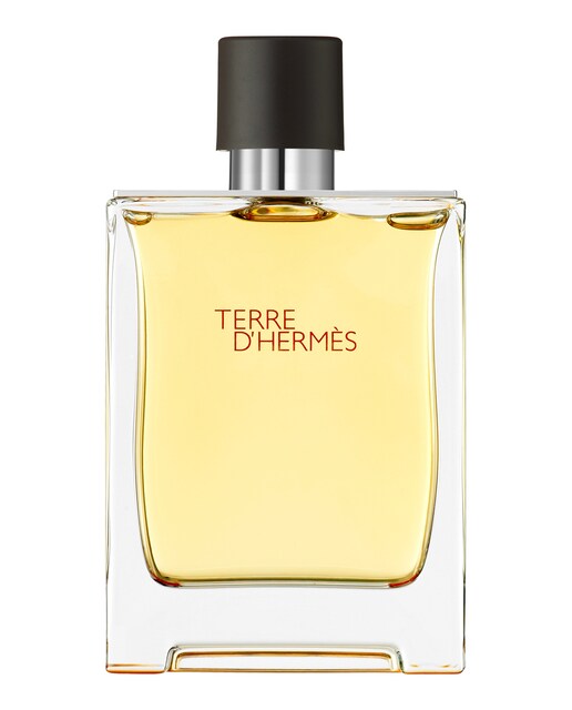 Imagen 0 de Eau de Parfum Terre d'Hermès