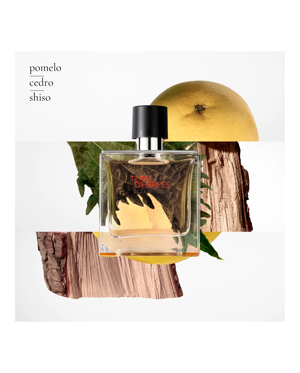 Eau de Parfum Terre d’Hermès 75 ml Hermès - 75 ml 3