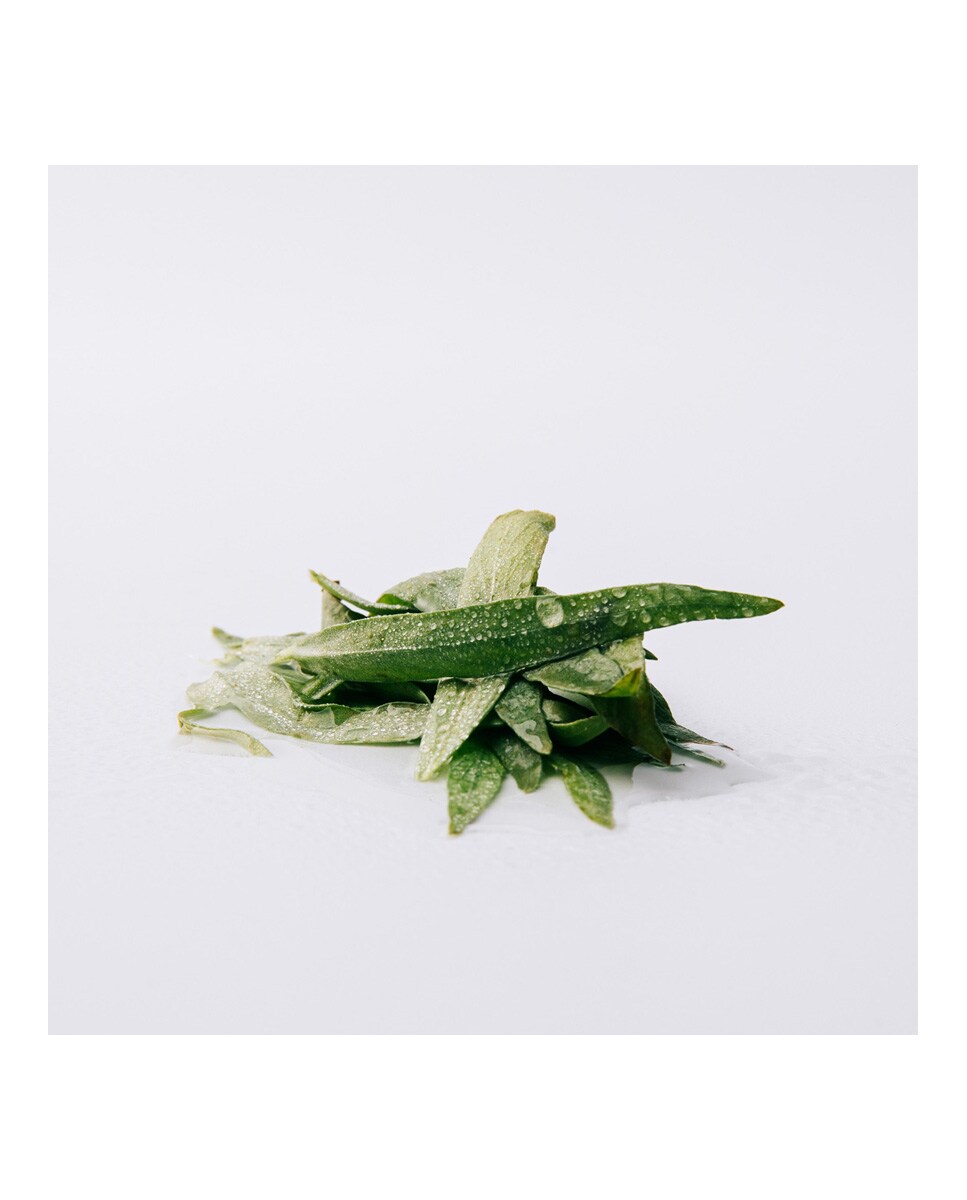 Eau de Parfum Esencia Loewe 3