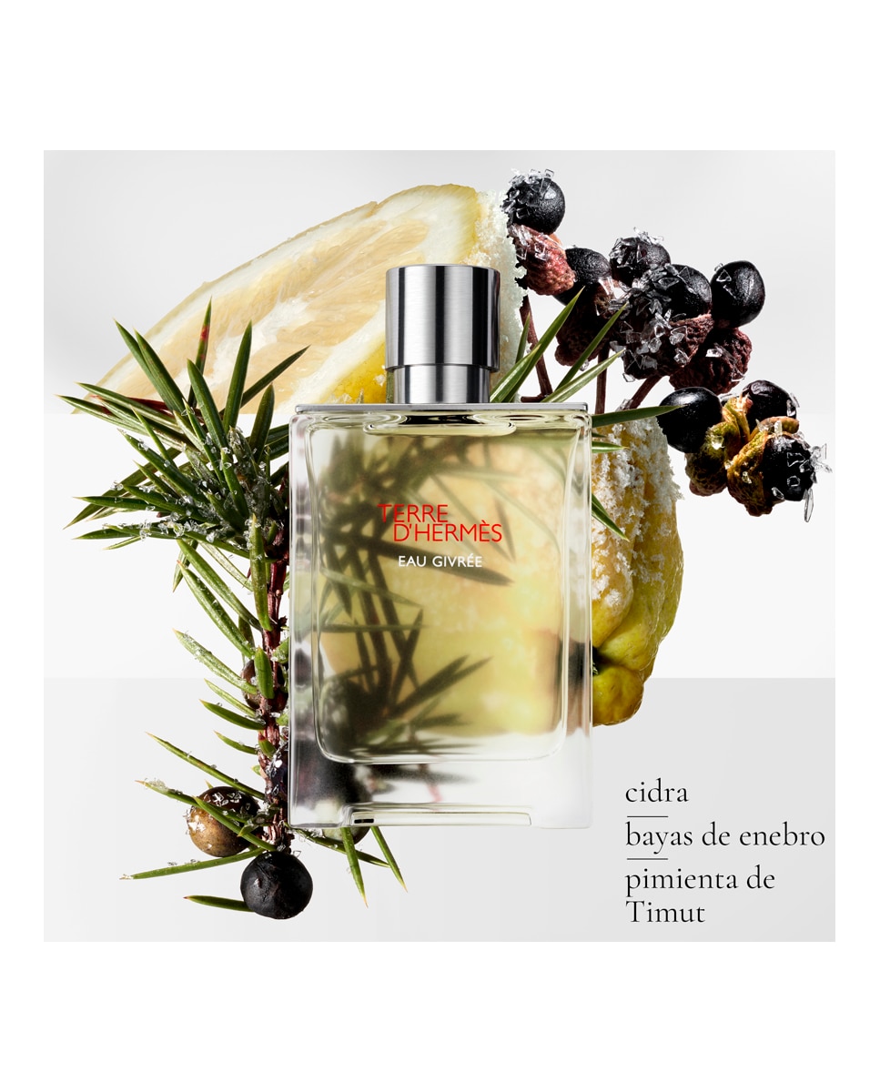 Eau de Parfum Terre D'Hermès Eau Givrée Hermès - 50 ml 3