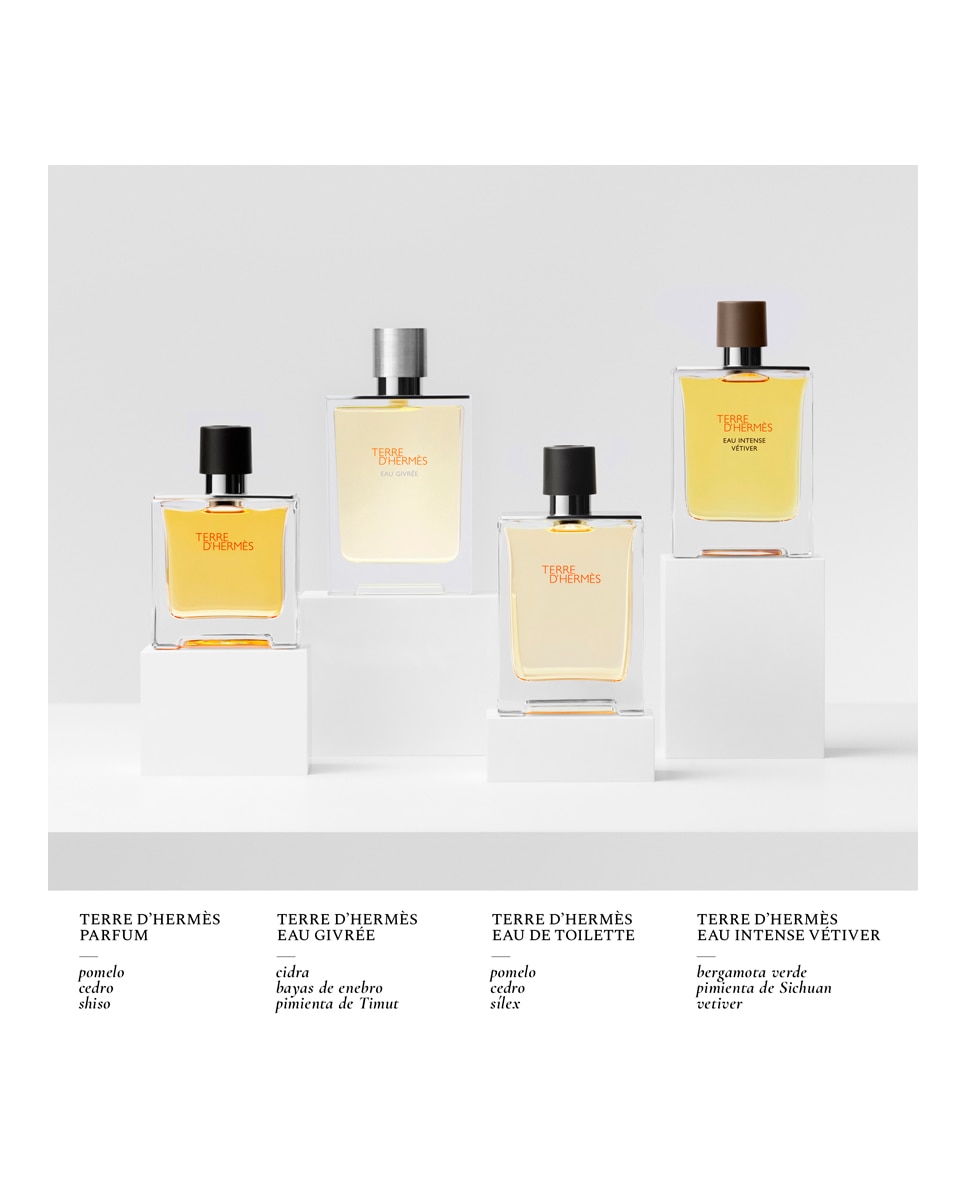 Eau de Parfum Terre D'Hermès Eau Givrée Hermès - 50 ml 6