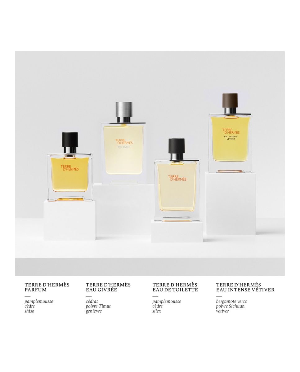 Eau de Parfum Terre D'Hermès Eau Givrée Hermès - 50 ml 9