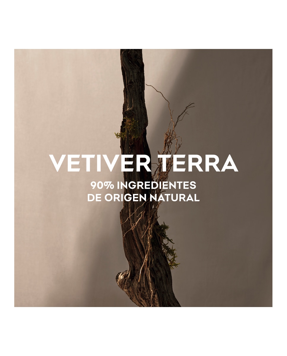 Eau de Parfum Vetiver Terra Adolfo Dominguez - 120 ml 3
