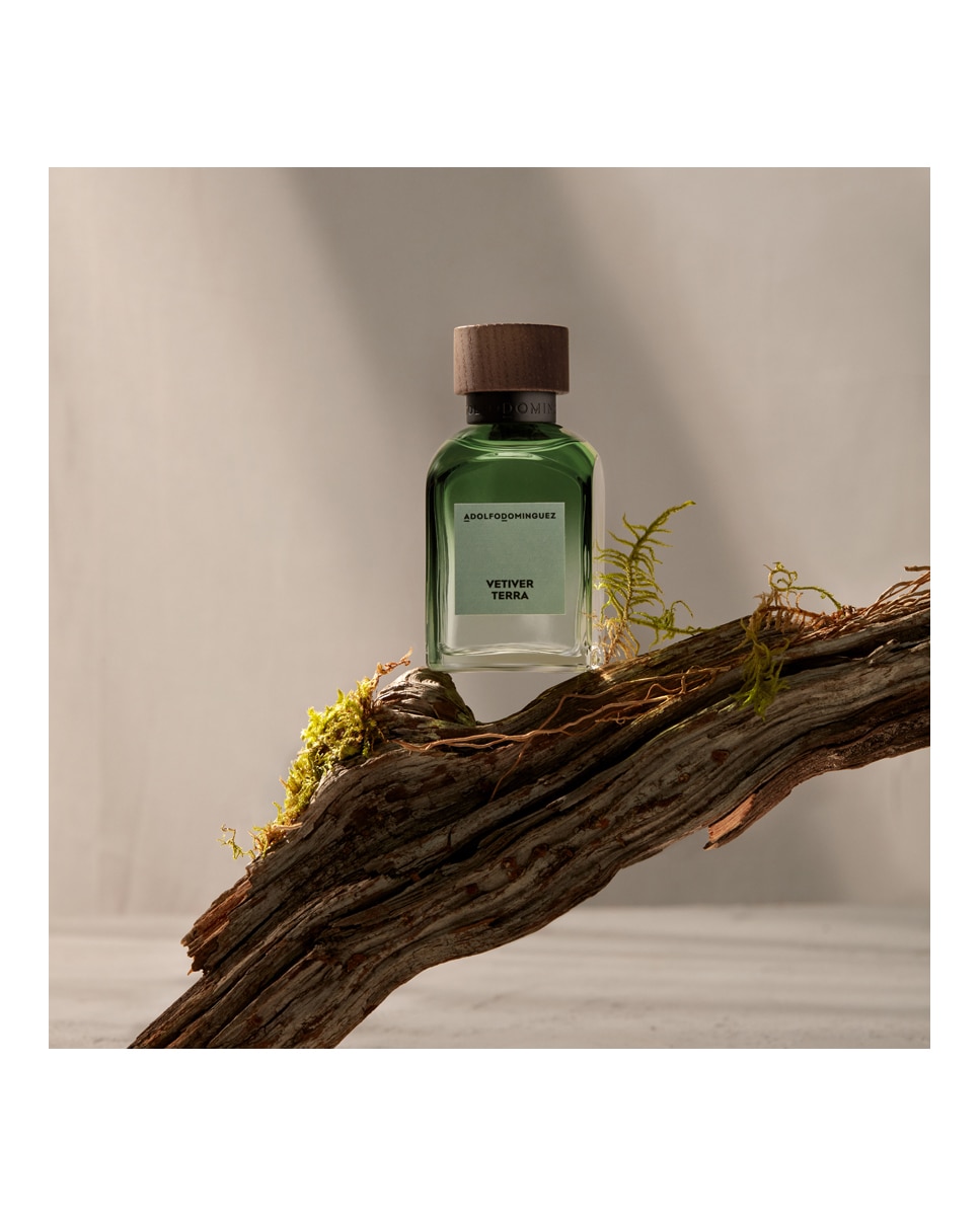 Eau de Parfum Vetiver Terra Adolfo Dominguez - 120 ml 6