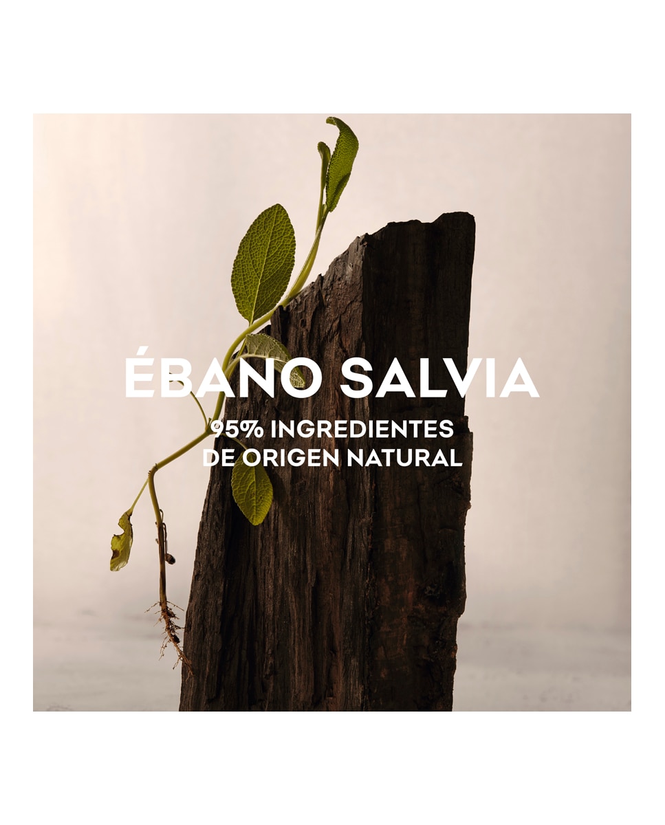 Eau de Parfum Ébano Salvia Adolfo Dominguez - 120 ml 3